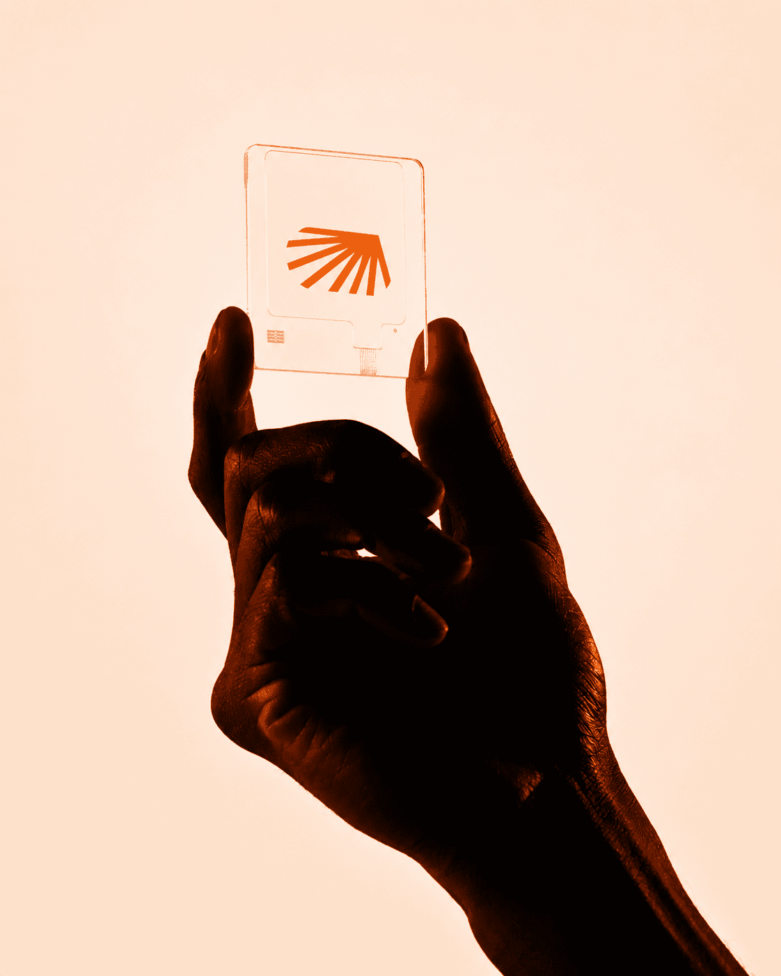 Boldideas consulting — visual direction