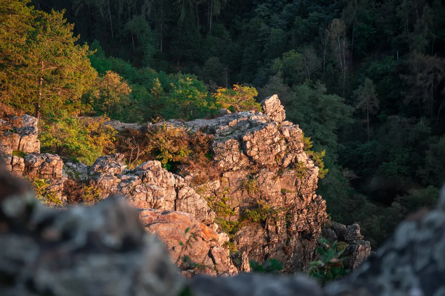 Nature